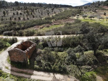 Terreno Agricola ou Rústico para Venda em Sarzedas