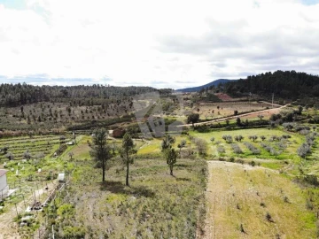 Terreno Agricola ou Rústico para Venda em Sarzedas