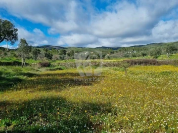 Terreno Agricola ou Rústico para Venda em Sarzedas