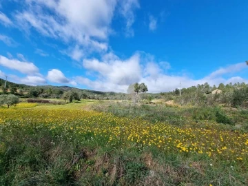 Terreno Agricola ou Rústico para Venda em Sarzedas