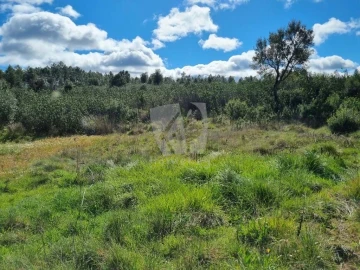 Terreno Agricola ou Rústico para Venda em Sarzedas