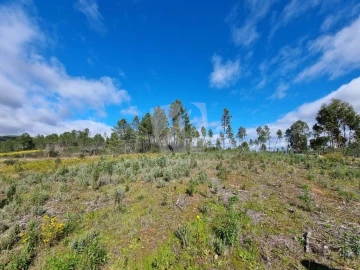Terreno Agricola ou Rústico para Venda em Sarzedas