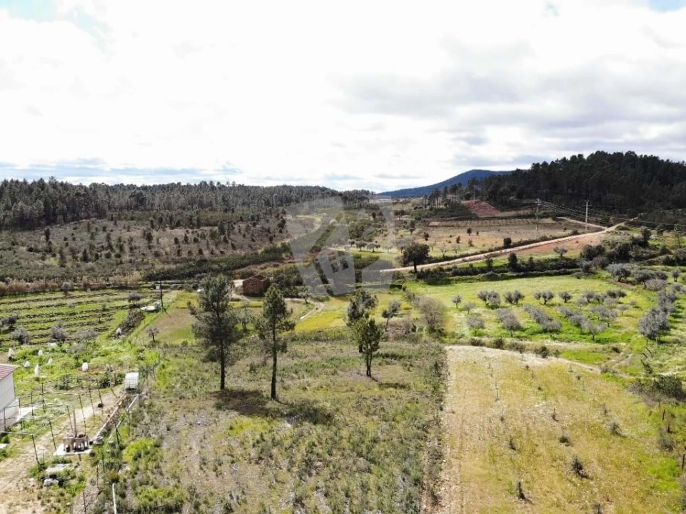 Terreno Agricola ou Rústico para Venda em Sarzedas Foto 23
