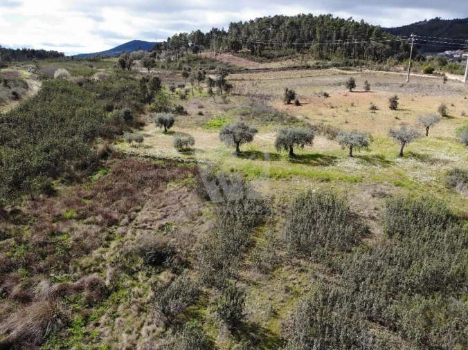 Terreno Agricola ou Rústico para Venda em Sarzedas Foto 26