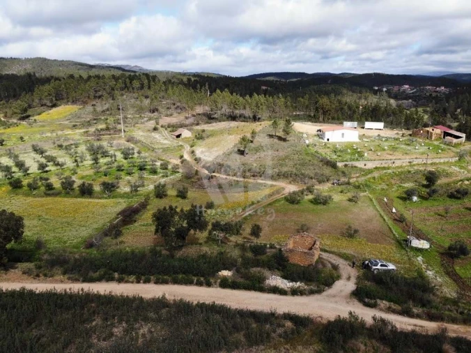 Terreno Agricola ou Rústico para Venda em Sarzedas