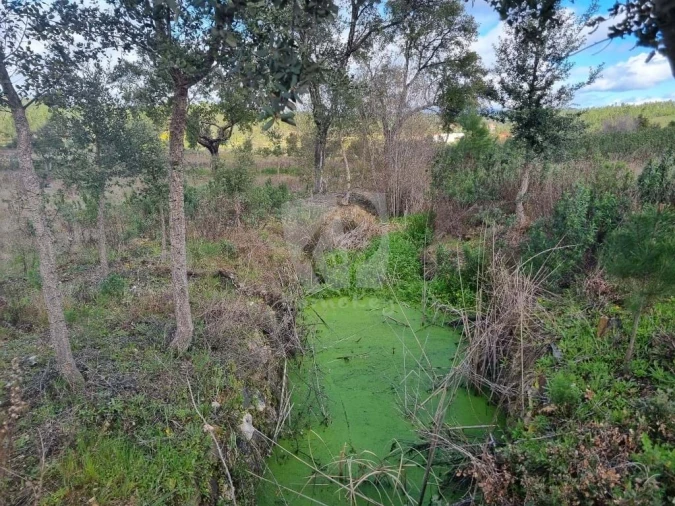 Terreno Agricola ou Rústico para Venda em Sarzedas Foto 17
