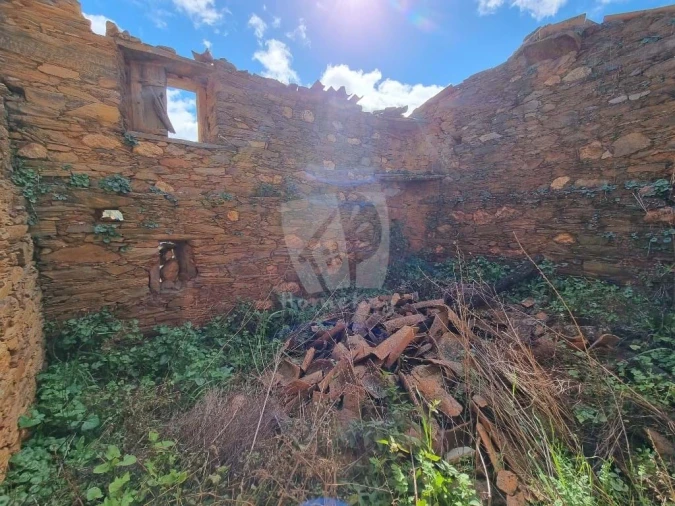 Terreno Agricola ou Rústico para Venda em Sarzedas Foto 9