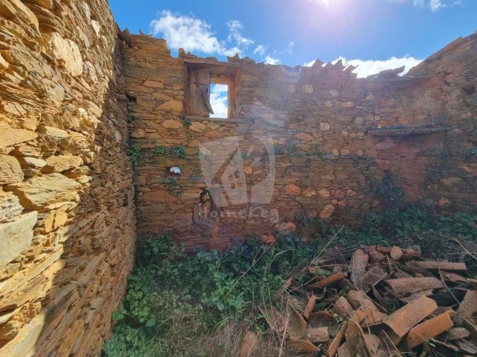 Terreno Agricola ou Rústico para Venda em Sarzedas Foto 10