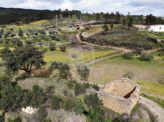 Terreno Agricola ou Rústico para Venda em Sarzedas Foto 27