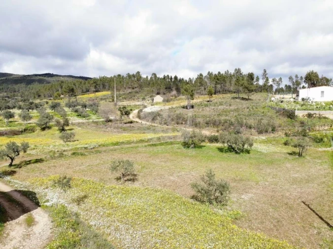 Terreno Agricola ou Rústico para Venda em Sarzedas Foto 22