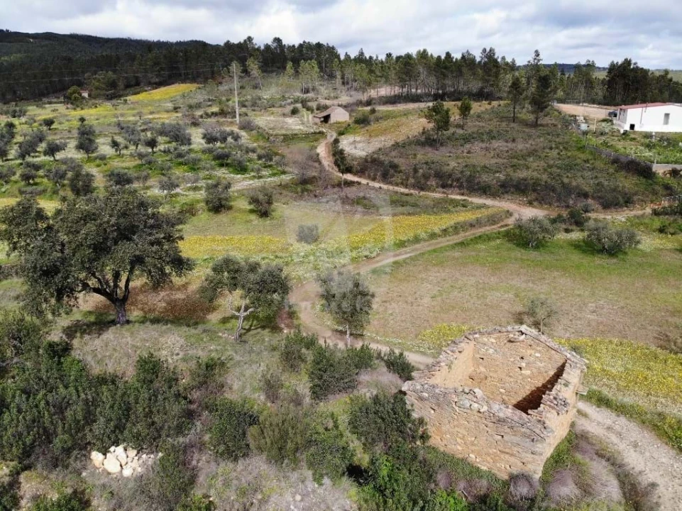 Terreno Agricola ou Rústico para Venda em Sarzedas Foto 27