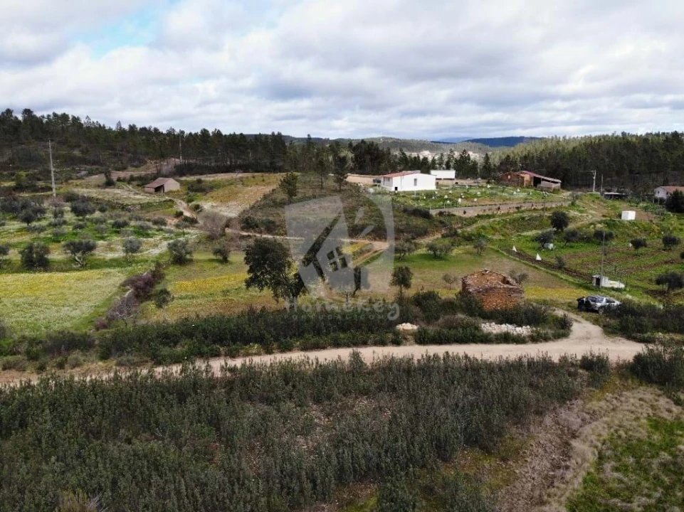 Terreno Agricola ou Rústico para Venda em Sarzedas Foto 28