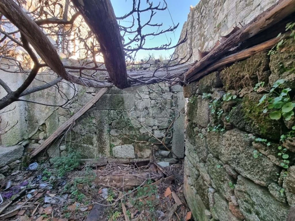 Terreno para Venda em São Vicente da Beira Foto 6