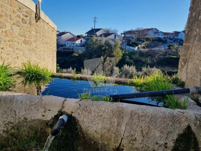 Terreno para Venda em São Vicente da Beira Foto 12