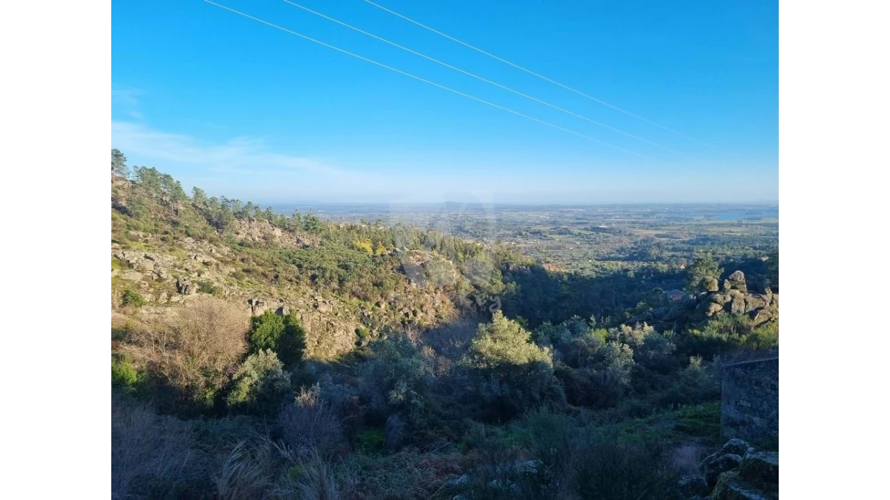 Terreno para Venda em Louriçal do Campo Foto 29