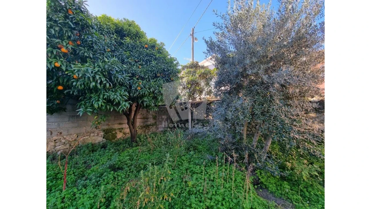 Terreno para Venda em Louriçal do Campo Foto 5