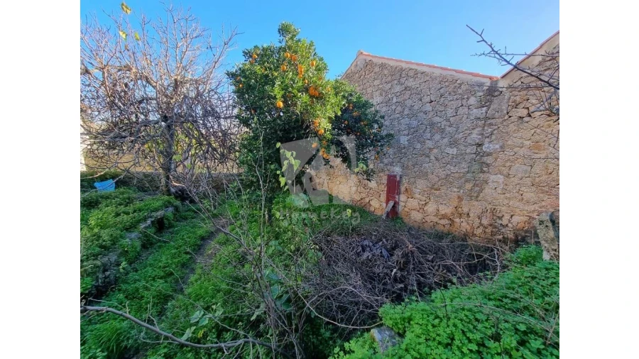 Terreno para Venda em Louriçal do Campo Foto 4