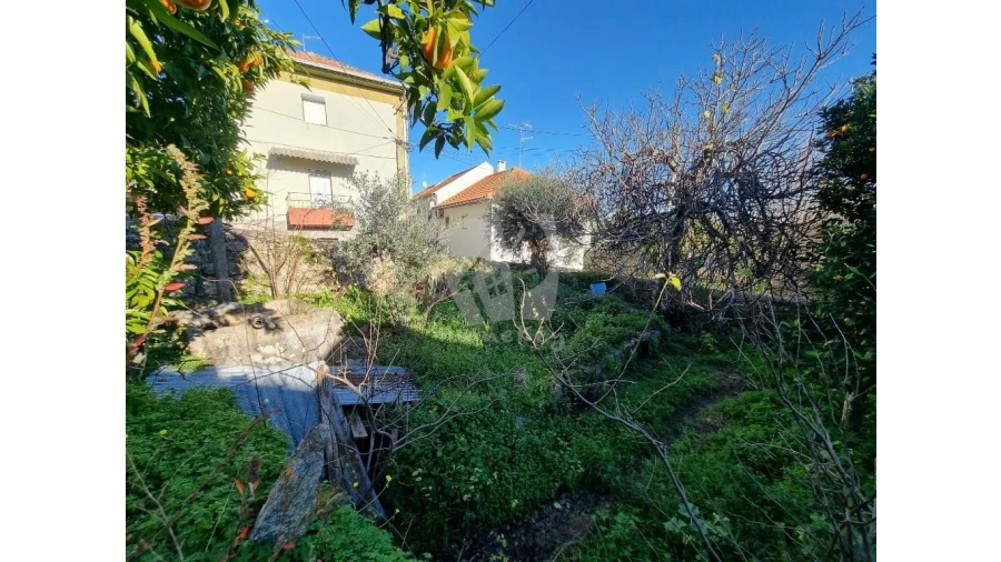 Terreno para Venda em Louriçal do Campo Foto 3