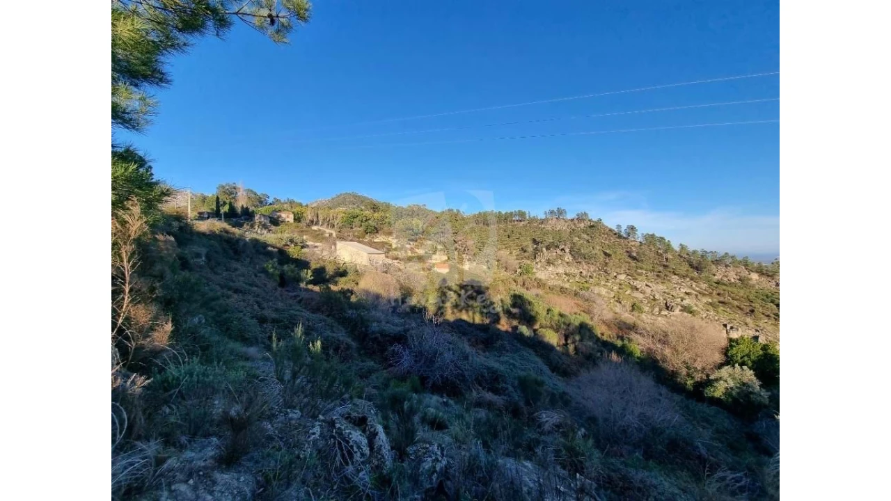 Terreno para Venda em Louriçal do Campo Foto 28