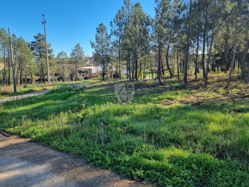 Terreno Agricola ou Rústico para Venda em Sarzedas Foto 28