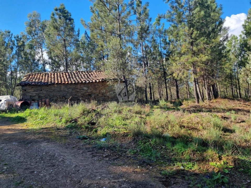 Terreno Agricola ou Rústico para Venda em Sarzedas Foto 9