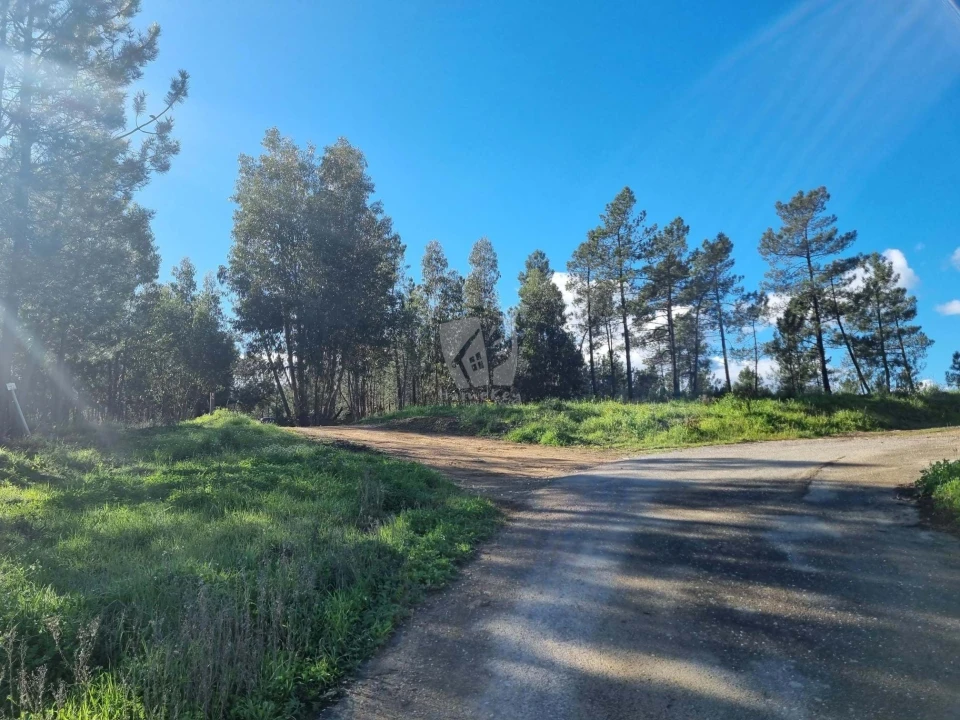 Terreno Agricola ou Rústico para Venda em Sarzedas Foto 31