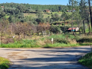 Terreno Agricola ou Rústico para Venda em Sarzedas