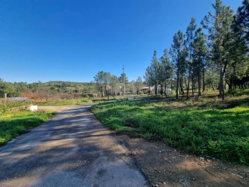 Terreno Agricola ou Rústico para Venda em Sarzedas