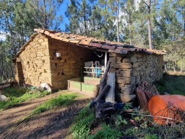Terreno Agricola ou Rústico para Venda em Sarzedas