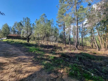 Terreno Agricola ou Rústico para Venda em Sarzedas