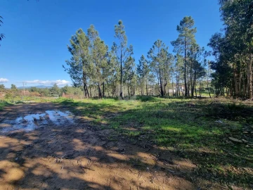 Terreno Agricola ou Rústico para Venda em Sarzedas