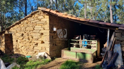 Terreno Agricola ou Rústico para Venda em Sarzedas
