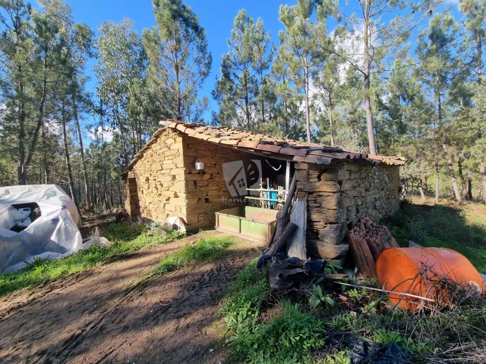 Terreno Agricola ou Rústico para Venda em Sarzedas Foto 4
