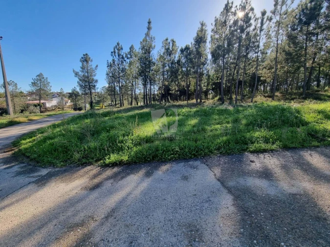 Terreno Agricola ou Rústico para Venda em Sarzedas Foto 29