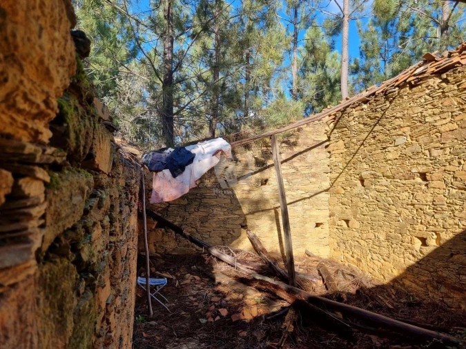 Terreno Agricola ou Rústico para Venda em Sarzedas Foto 8