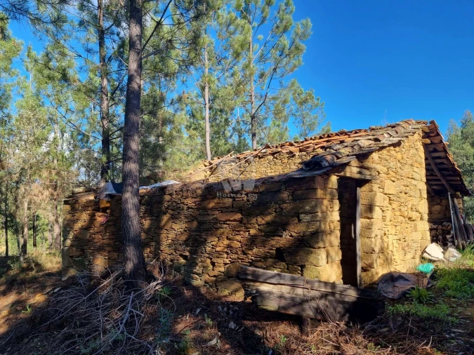 Terreno Agricola ou Rústico para Venda em Sarzedas Foto 12