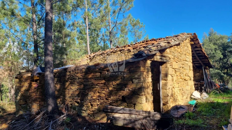 Terreno Agricola ou Rústico para Venda em Sarzedas Foto 5