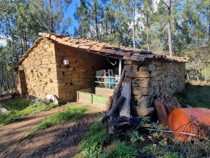 Terreno Agricola ou Rústico para Venda em Sarzedas Foto 2