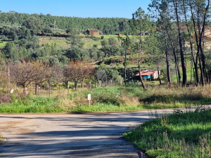 Terreno Agricola ou Rústico para Venda em Sarzedas Foto 25