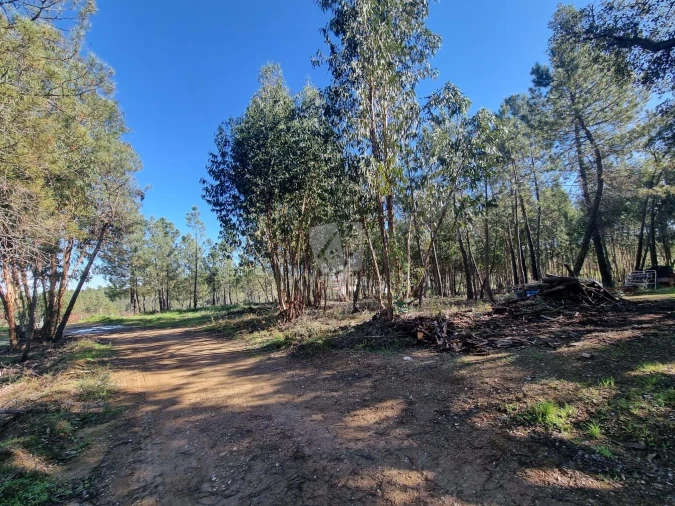 Terreno Agricola ou Rústico para Venda em Sarzedas Foto 21