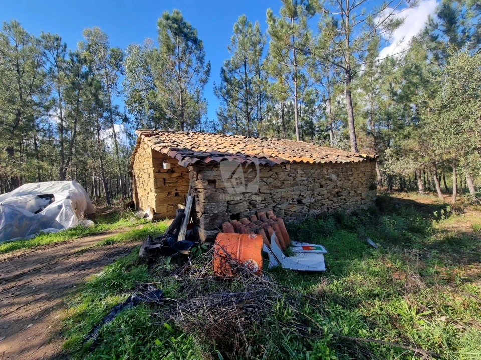 Terreno Agricola ou Rústico para Venda em Sarzedas Foto 1