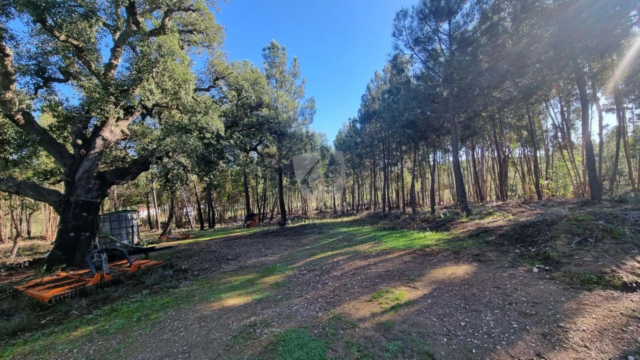 Terreno Agricola ou Rústico para Venda em Sarzedas Foto 19