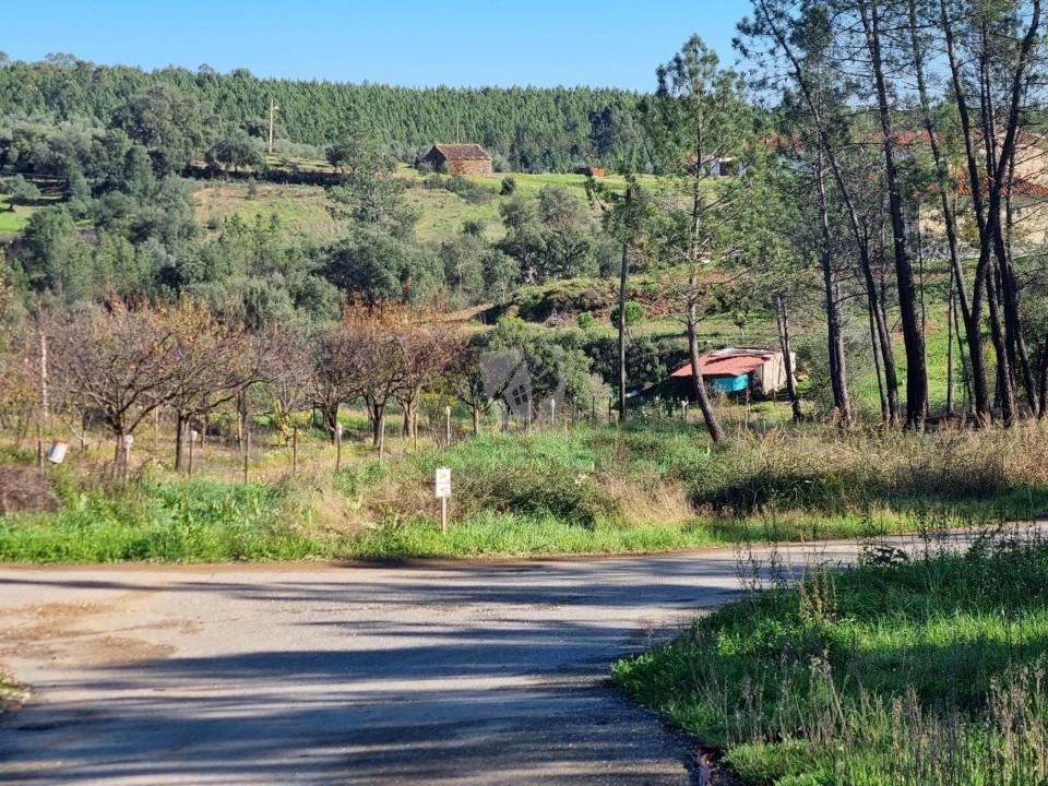 Terreno Agricola ou Rústico para Venda em Sarzedas Foto 24
