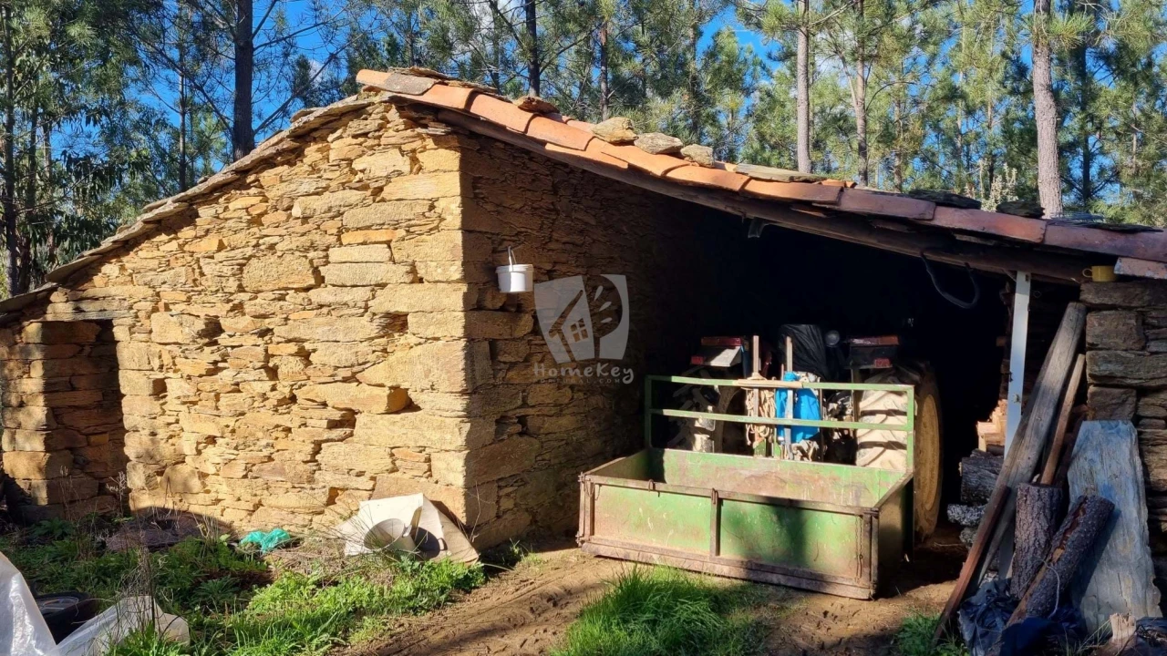 Terreno Agricola ou Rústico para Venda em Sarzedas Foto 3