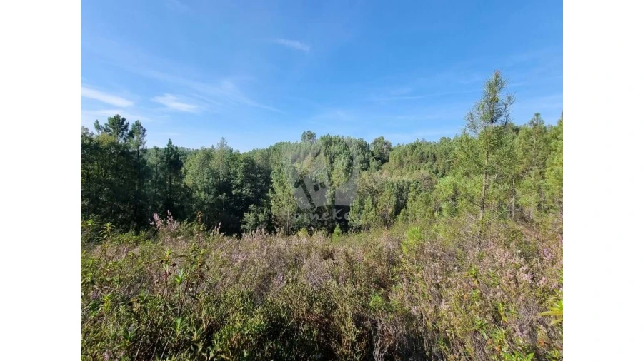 Terreno Agricola ou Rústico para Venda em Santo Andre das Tojeiras Foto 8