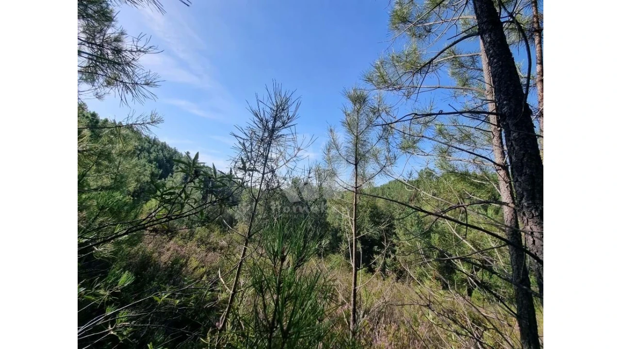 Terreno Agricola ou Rústico para Venda em Santo Andre das Tojeiras Foto 9