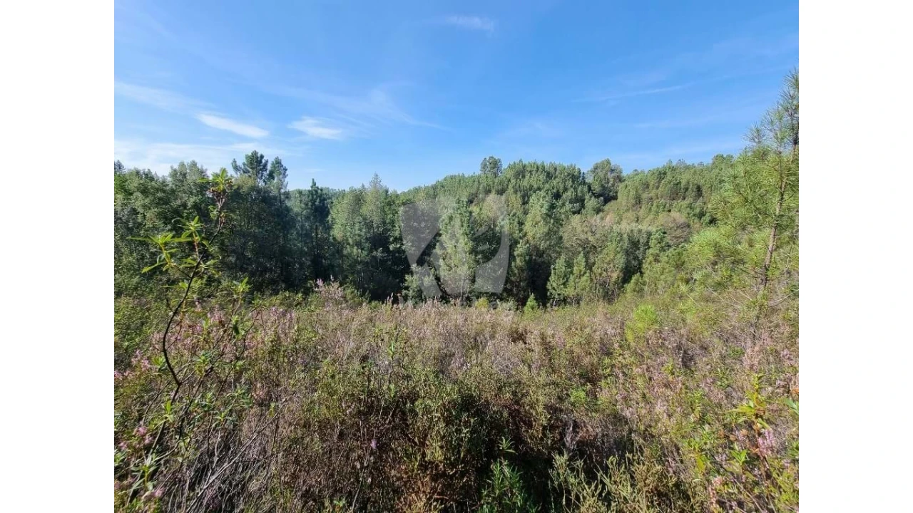 Terreno Agricola ou Rústico para Venda em Santo Andre das Tojeiras Foto 6
