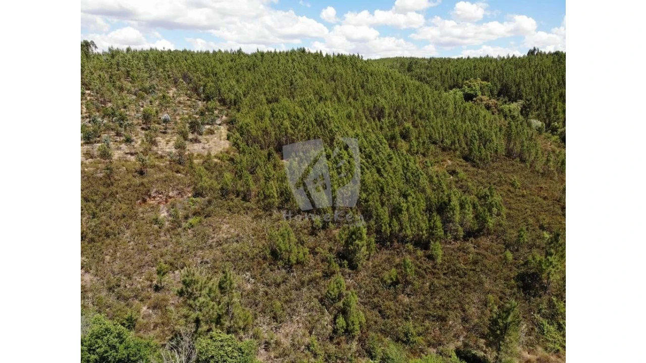 Terreno Agricola ou Rústico para Venda em Santo Andre das Tojeiras Foto 1