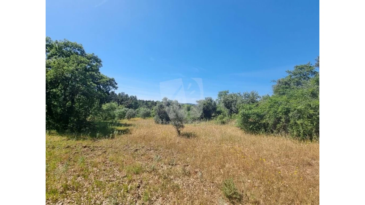 Terreno Agricola ou Rústico para Venda em Santo Andre das Tojeiras Foto 8