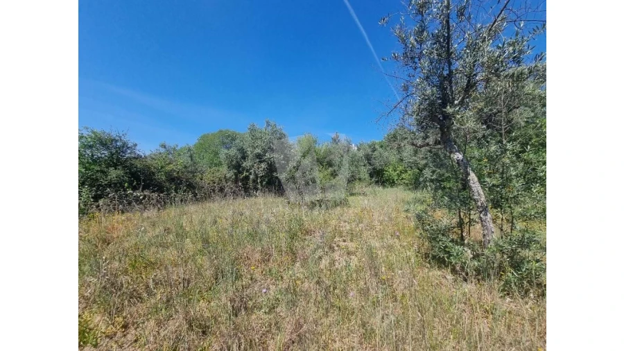 Terreno Agricola ou Rústico para Venda em Santo Andre das Tojeiras Foto 12